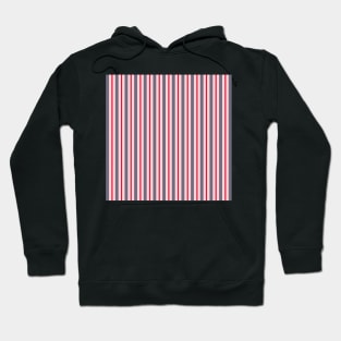 Colored stripes (0) Hoodie